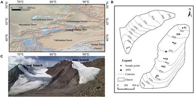 Variation in Albedo and Its Relationship With Surface Dust at Urumqi Glacier No. 1 in Tien Shan, China
